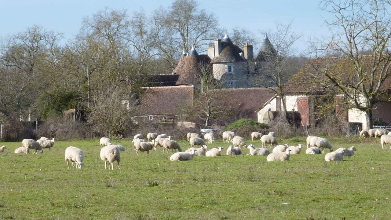 La Trimouille Le Logis Alexandra Bnb المظهر الخارجي الصورة